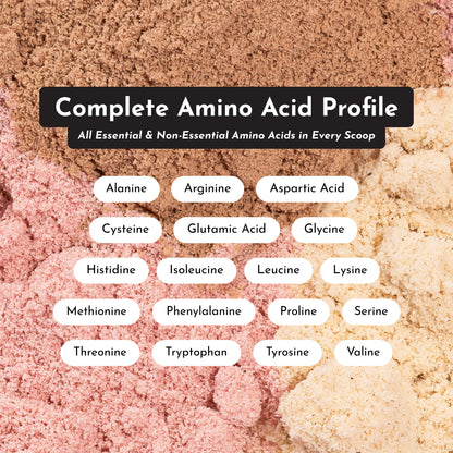 Chai Protein Powder